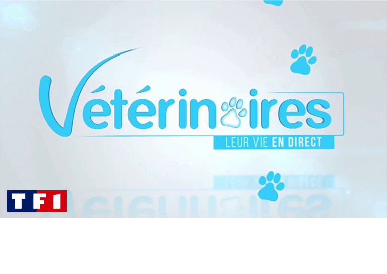 tf1_veterinaires_direct_sep_veto