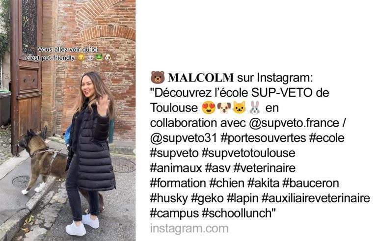 Malcolm sur Instagram : Découvrez l'Ecole SUP_VETO de Toulouse en collaboration avec supveto France