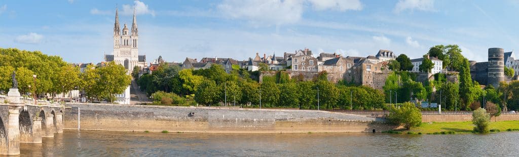 formation auxiliaire vétérinaire angers