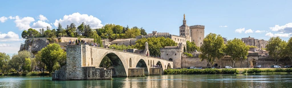formation auxiliaire vétérinaire Avignon