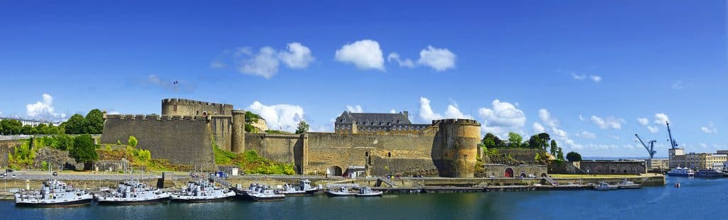 formation auxiliaire vétérinaire Brest