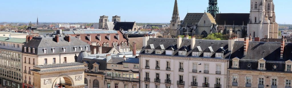formation auxiliaire vétérinaire Dijon