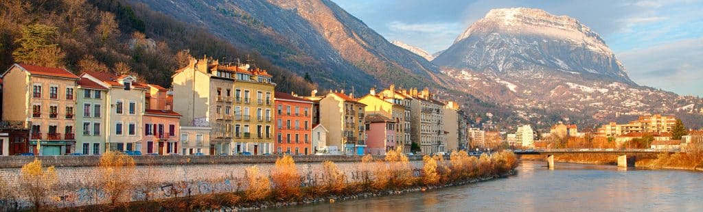 formation auxiliaire vétérinaire Grenoble